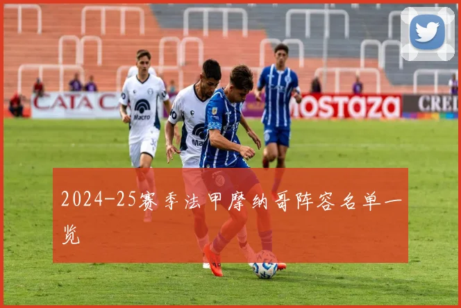 2024-25赛季法甲摩纳哥阵容名单一览