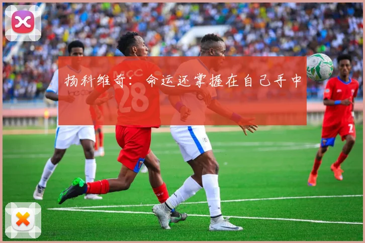 扬科维奇：命运还掌握在自己手中